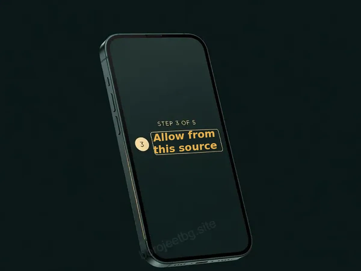Illustration of step 3 of the BoroJeet APK install on Android: the Allow from this source permission set for the browser